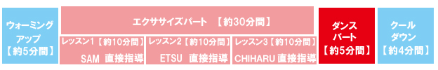 �G�N�T�T�C�Y�̗���